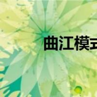 曲江模式（关于曲江模式的介绍）