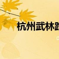 杭州武林路（关于杭州武林路的介绍）