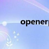 openerp（关于openerp的介绍）