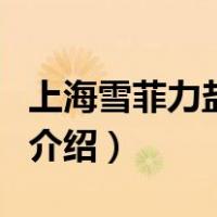 上海雪菲力盐汽水（关于上海雪菲力盐汽水的介绍）