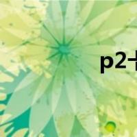 p2卡（关于p2卡的介绍）