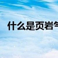 什么是页岩气（关于什么是页岩气的介绍）