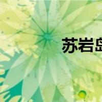 苏岩岛（关于苏岩岛的介绍）