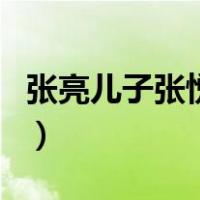 张亮儿子张悦轩（关于张亮儿子张悦轩的介绍）