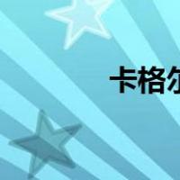 卡格尔（关于卡格尔的介绍）