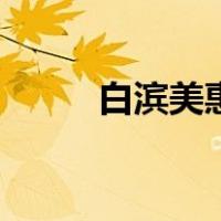 白滨美惠（关于白滨美惠的介绍）