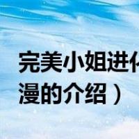 完美小姐进化论动漫（关于完美小姐进化论动漫的介绍）