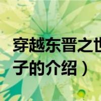 穿越东晋之世家公子（关于穿越东晋之世家公子的介绍）