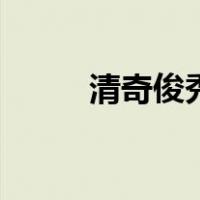 清奇俊秀（关于清奇俊秀的介绍）