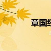 章国经（关于章国经的介绍）