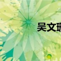 吴文珊（关于吴文珊的介绍）