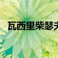 瓦西里柴瑟夫（关于瓦西里柴瑟夫的介绍）