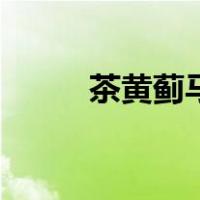 茶黄蓟马（关于茶黄蓟马的介绍）
