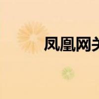 凤凰网关（关于凤凰网关的介绍）