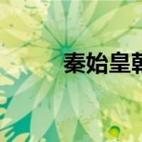 秦始皇朝（关于秦始皇朝的介绍）