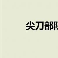 尖刀部队（关于尖刀部队的介绍）