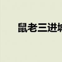 鼠老三进城（关于鼠老三进城的介绍）