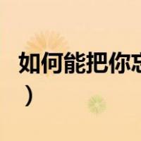 如何能把你忘记（关于如何能把你忘记的介绍）