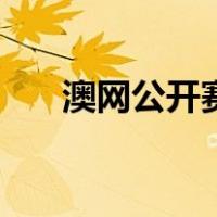 澳网公开赛（关于澳网公开赛的介绍）