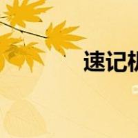 速记机（关于速记机的介绍）