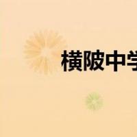 横陂中学（关于横陂中学的介绍）