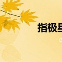 指极星（关于指极星的介绍）