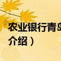 农业银行青岛分行（关于农业银行青岛分行的介绍）
