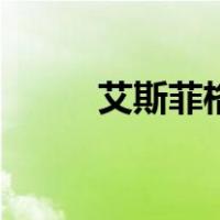 艾斯菲格（关于艾斯菲格的介绍）