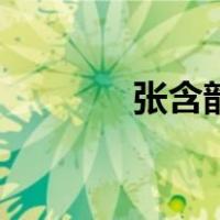 张含韵（关于张含韵的介绍）