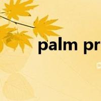palm pre（关于palm pre的介绍）