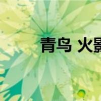 青鸟 火影（关于青鸟 火影的介绍）
