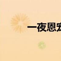 一夜恩宠（关于一夜恩宠的介绍）