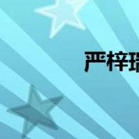 严梓瑞（关于严梓瑞的介绍）