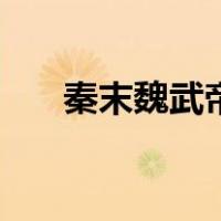 秦末魏武帝（关于秦末魏武帝的介绍）