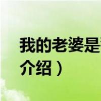 我的老婆是警花2（关于我的老婆是警花2的介绍）