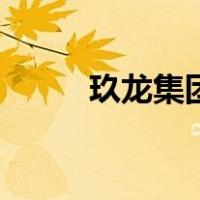 玖龙集团（关于玖龙集团的介绍）