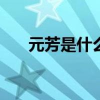 元芳是什么（关于元芳是什么的介绍）