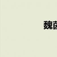 魏茵（关于魏茵的介绍）
