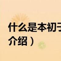 什么是本初子午线（关于什么是本初子午线的介绍）
