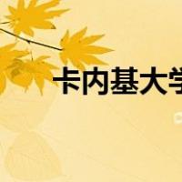 卡内基大学（关于卡内基大学的介绍）
