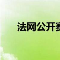 法网公开赛（关于法网公开赛的介绍）