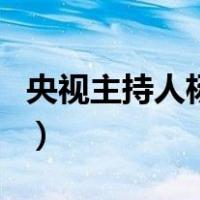 央视主持人杨柳（关于央视主持人杨柳的介绍）