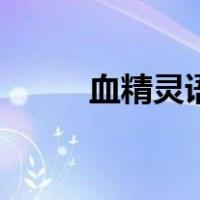 血精灵语（关于血精灵语的介绍）