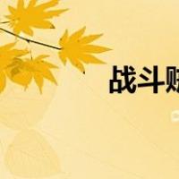 战斗贼（关于战斗贼的介绍）