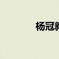 杨冠新（关于杨冠新的介绍）