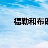 福勒和布朗（关于福勒和布朗的介绍）