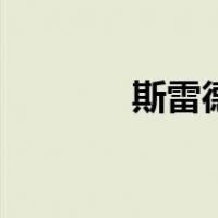 斯雷德（关于斯雷德的介绍）