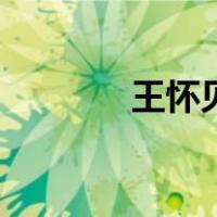 王怀见（关于王怀见的介绍）