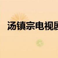 汤镇宗电视剧（关于汤镇宗电视剧的介绍）