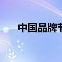 中国品牌节（关于中国品牌节的介绍）